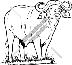 Water Buffalo Standing in | Clipart Panda - Free Clipart Images