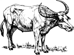 Buffalo clip art Free vector in Open office drawing svg ( .svg ...