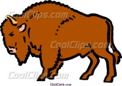 Cartoon buffalo Vector Clip art