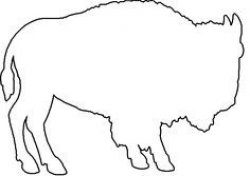 outline of a buffalo - Google Search | Crafts | Pinterest | Outlines ...