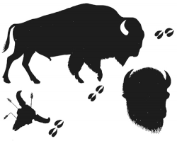 Pictures: American Buffalo Silhouette, - DRAWING ART GALLERY