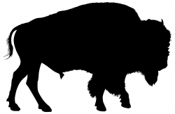 Buffalo Silhouette Clipart - Design Droide