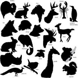 BUFFALO SILHOUETTE | Stencil font and how to drawings | Pinterest ...