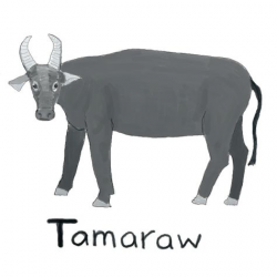 tamaraw | TickleHead