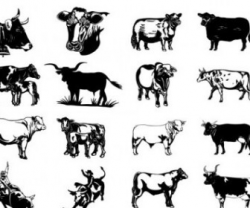 Cow and buffalo clipart collection