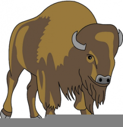 Charging Buffalo Clipart | Free Images at Clker.com - vector clip ...