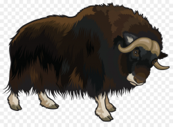 Domestic yak Clip art - cartoon wolf png download - 4000*2865 - Free ...