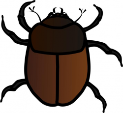 June Bug Clipart - Design Droide
