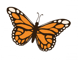 Free Butterfly Clipart | Free download best Free Butterfly ...