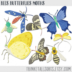 Bees Butterflies Moths, Butterfly ClipArt, Bee ClipArt, Moth Clip ...