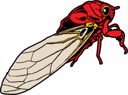 Cicada Bug Clip Art at Clker.com - vector clip art online, royalty ...