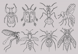 Bugs Clipart, Insects Clipart, Bugs Pen Drawing, Summer Clipart, Ant ...