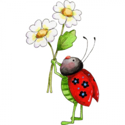 June Flower Clipart Lady Bug Flower Liked On Polyvore Featuring ...