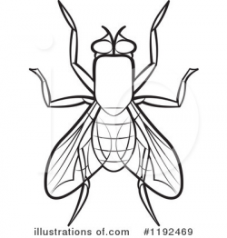 House Fly Clipart #1192469 - Illustration by Lal Perera