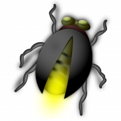 Glowworm clipart insect - Pencil and in color glowworm clipart insect