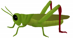 Grasshoppers Cliparts Free Download Clip Art - carwad.net