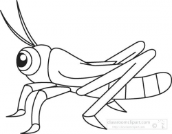 Animals Clipart Grasshopper Insects Black White Outline 976 ...