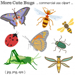 Bug Clipart, Bug Clip Art, Insect Clipart, Insect Clip Art, Insects, Bugs,  Digital Download, Royalty Free