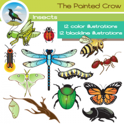 Insect Clip Art - Bug Clipart -24 Piece Set - Color and Blackline