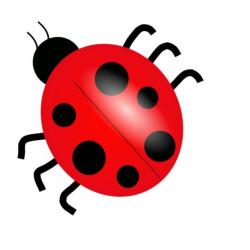 Bugs and insects clipart kid - Clipartix