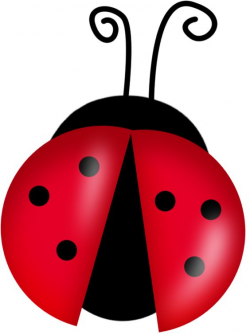 lady bug ladybugs clipart | Clipart Panda - Free Clipart Images