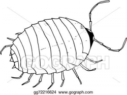Vector Art - Beetle, mite . Clipart Drawing gg72216624 - GoGraph