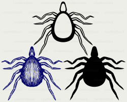 Mite bug svg/mite clipart/bug svg/insects silhouette/mite cricut ...