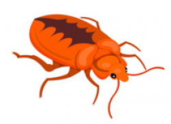 Free Insect Clipart - Clip Art Pictures - Graphics - Illustrations