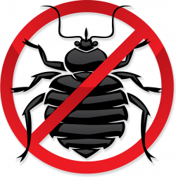 Bed Bug Removal and Some Top Tips - Bed Bug Guide