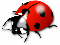 Red Lady Bug Clip Art at Clker.com - vector clip art online, royalty ...