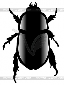 Dung Beetle clipart scarab beetle - Pencil and in color dung beetle ...