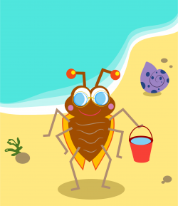 Clipart - Beach Bug