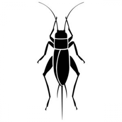 Cricket Insect Silhouette-52 | Clipart Panda - Free Clipart Images