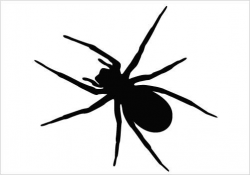 An ideal spider vector silhouette vector clipart in detail design ...