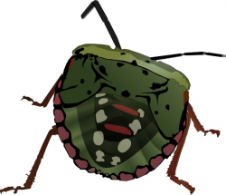 Stink Bug clip art Free vector in Open office drawing svg ( .svg ...