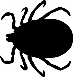 Tick Silhouette at GetDrawings.com | Free for personal use Tick ...