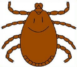 28+ Collection of Tick Clipart Free | High quality, free cliparts ...