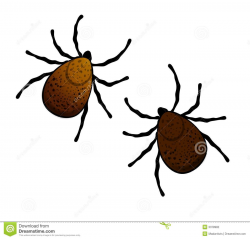 Mosquito And Tick Clipart