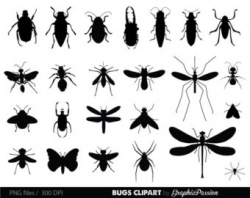 Bug clip art | Etsy