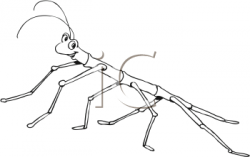 Royalty Free Bug Clip art, Insect Clipart
