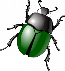 Clipart - stylized green beetle