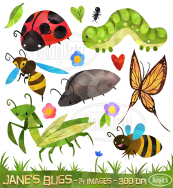 Watercolor Bugs Clipart | Watercolor, Ladybug and Digital