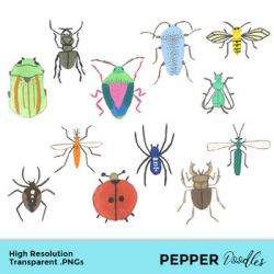Bugs, Insects - Watercolor Clipart - Transparent PNGs by Pepper Doodles