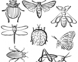 Bug Clip Art Cute Bug Art Insects Clipart Insect Clip Art