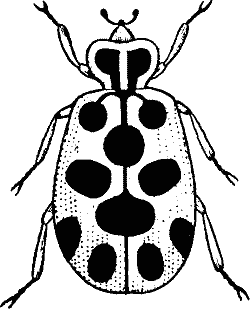Bugs Black And White Clipart - ClipArt Best | bugs and weeds ...