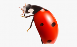 Ant Clipart Transparent Background - Bug With Transparent ...