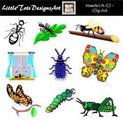 Bugs Clipart Clip Art Insects Clipart Clip Art PNG Images