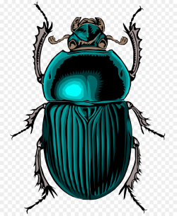 Volkswagen Beetle Dung beetle Clip art - Bug png download - 800*1098 ...