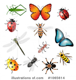 Insects Clipart #1065614 - Illustration by vectorace