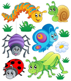 144 best insects clip art images on Pinterest | Insects, Clip art ...